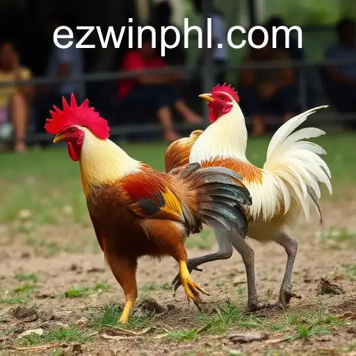 Gaming Experience EZWIN - 800+ Premium and Exclusive Games